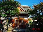 DSC08236.jpg
