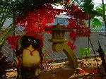 DSC08255.jpg