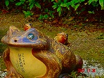 DSC08258.jpg