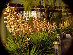 20071228006.jpg