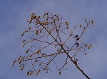 20071228014.jpg