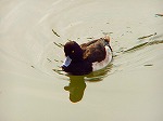 20071228017.jpg