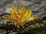 20071228041.jpg