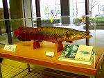 20071228045.jpg
