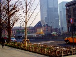 20071228065.jpg