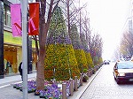 20071228076.jpg