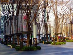 20071228121.jpg