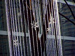 20071228124.jpg