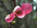 20080111t01.jpg
