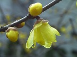 20080111t02.jpg