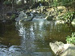20080111t06.jpg