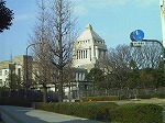 20080111t07.jpg