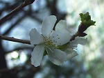 20080111t09.jpg