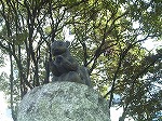 20080111t11.jpg