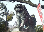 20080111t13.jpg