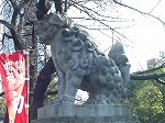 20080111t14.jpg