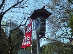 20080111t15.jpg