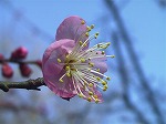 20080111t18.jpg