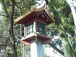 20080111t22.jpg