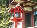 20080111t23.jpg