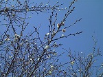 20080111t25.jpg