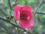 20080111t26.jpg