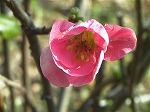 20080111t27.jpg