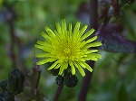 20080111t28.jpg