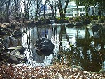 20080111t30.jpg