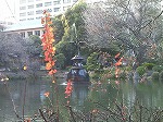 20080111t33.jpg