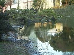 20080111t34.jpg