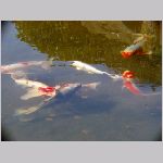 20080130h04.JPG
