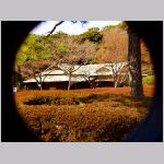 20080130h05.JPG