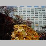 DSC08391.jpg