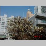 DSC08392.jpg