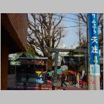 DSC08398.jpg