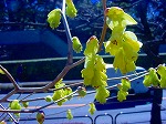DSC01244.jpg