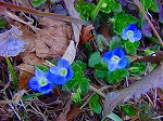 DSC01246.jpg