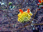 DSC01258.jpg