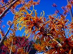 DSC01263.jpg