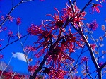 DSC01266.jpg