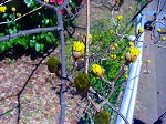 DSC01281.jpg