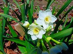 DSC01282.jpg