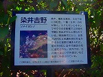 DSC01289.jpg