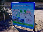 DSC01293.jpg