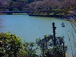 DSC01294.jpg
