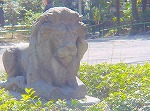 DSC01301.jpg