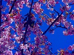 DSC01304.jpg