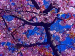 DSC01305.jpg