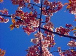DSC01307.jpg